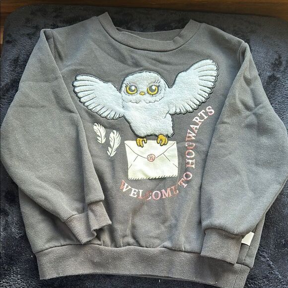 Harry Potter Gray Owl Crewneck Sweatshirt - Picture 1 of 4
